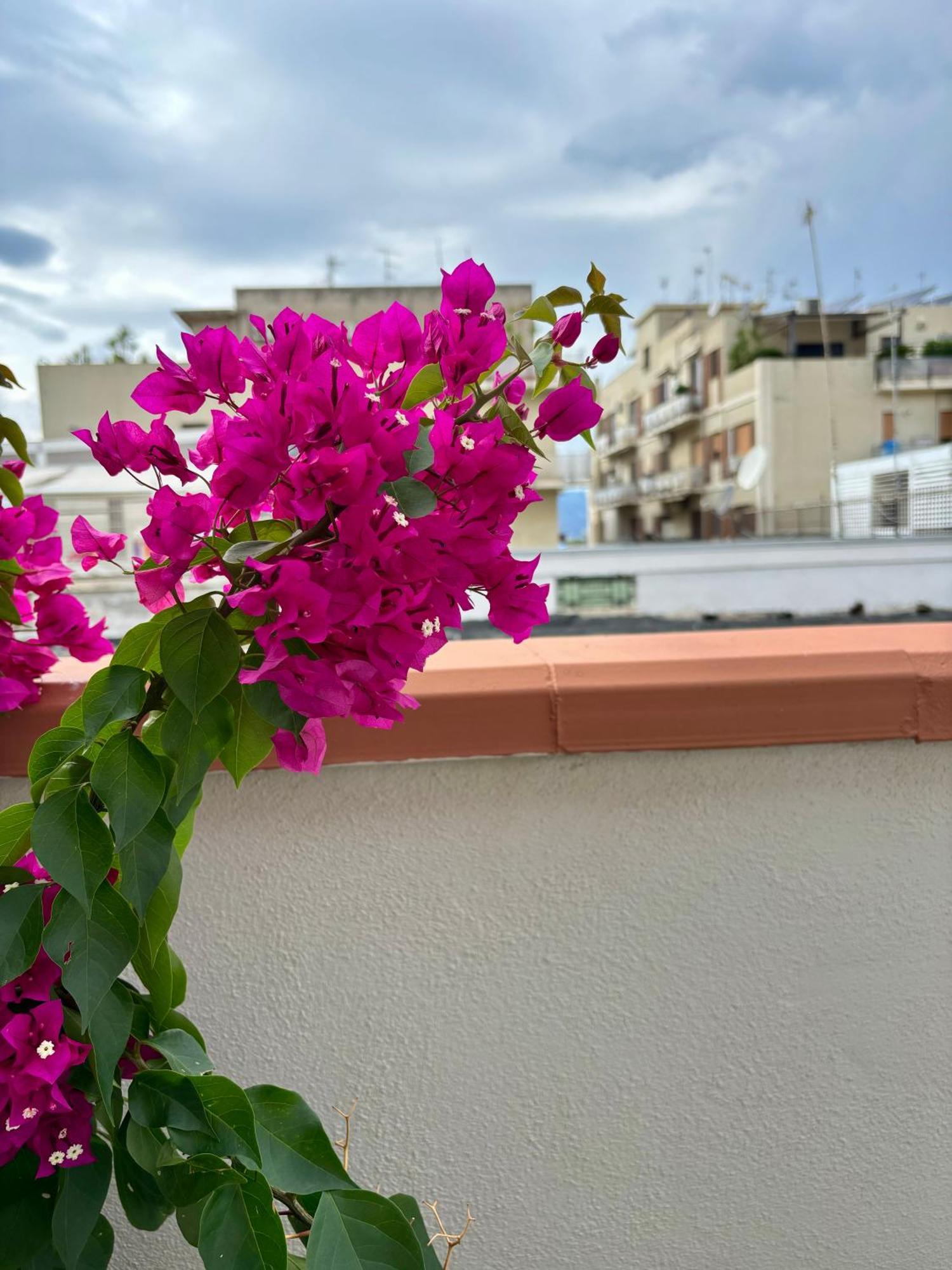 Strettomare-Business & Travel Apartment Reggio Calabria Exterior photo